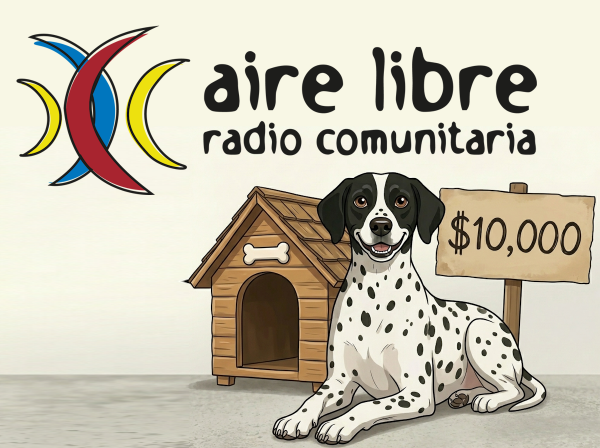 FM aire libre 91.3