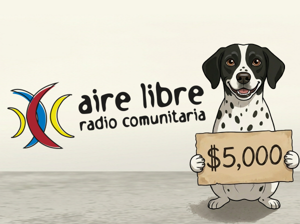 FM aire libre 91.3